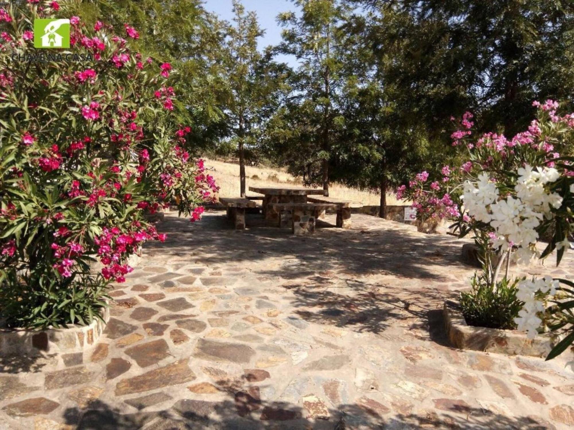 Casa Das Bonecas Farelos de Baixo Exteriér fotografie